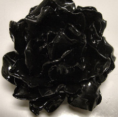 用一次性勺子自制一幅超美胸花的手绘