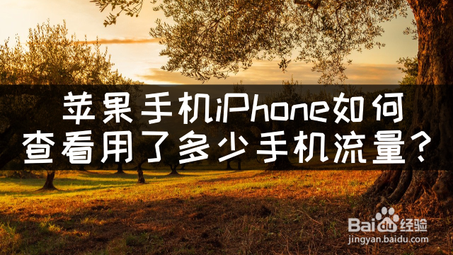 苹果手机iPhone如何查看用了多少手机流量