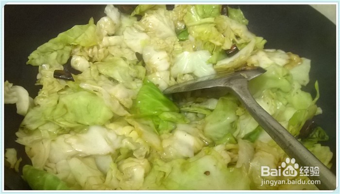 晨子家常菜——手撕包菜