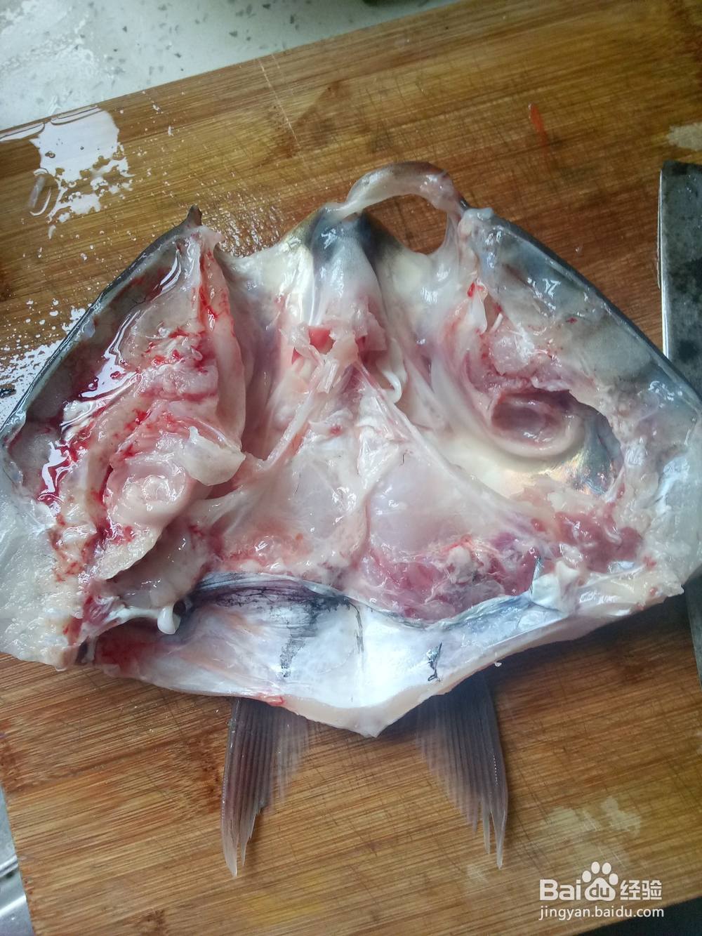 砂锅鱼头豆腐汤