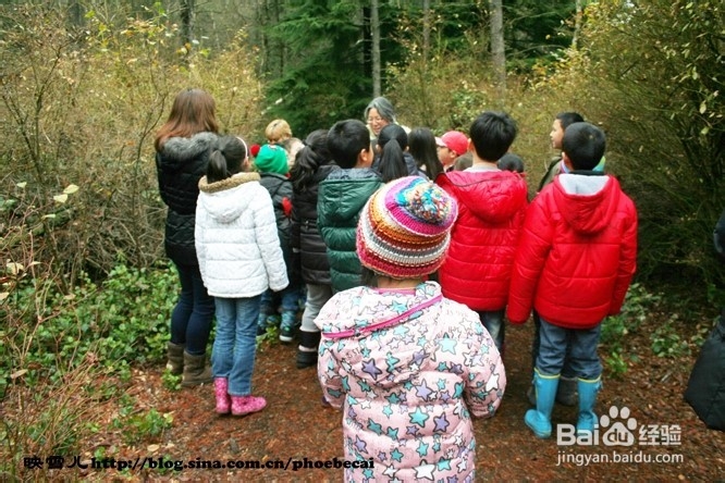 温哥华小学生郊游学什么