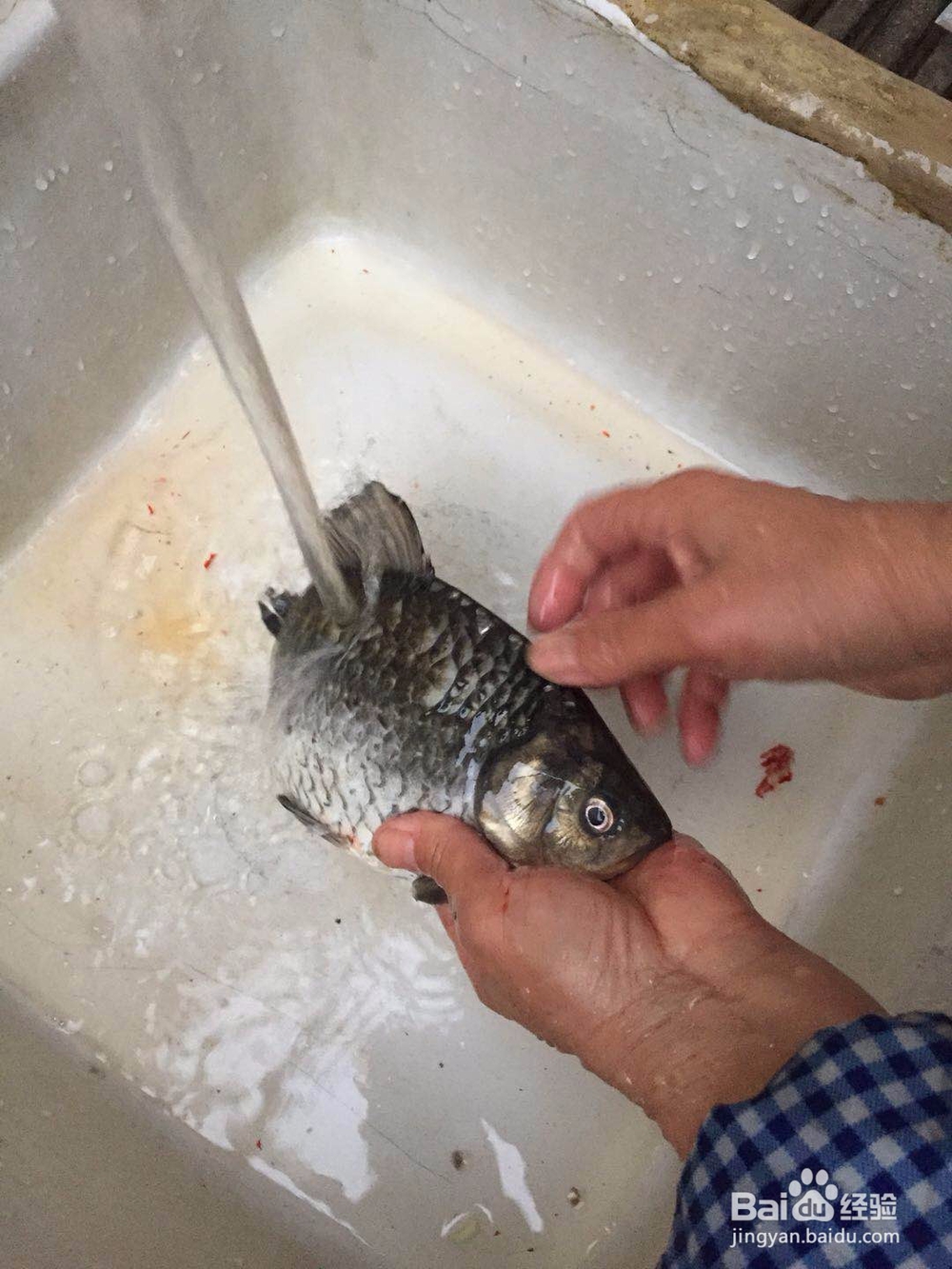 红烧鲫鱼的做法