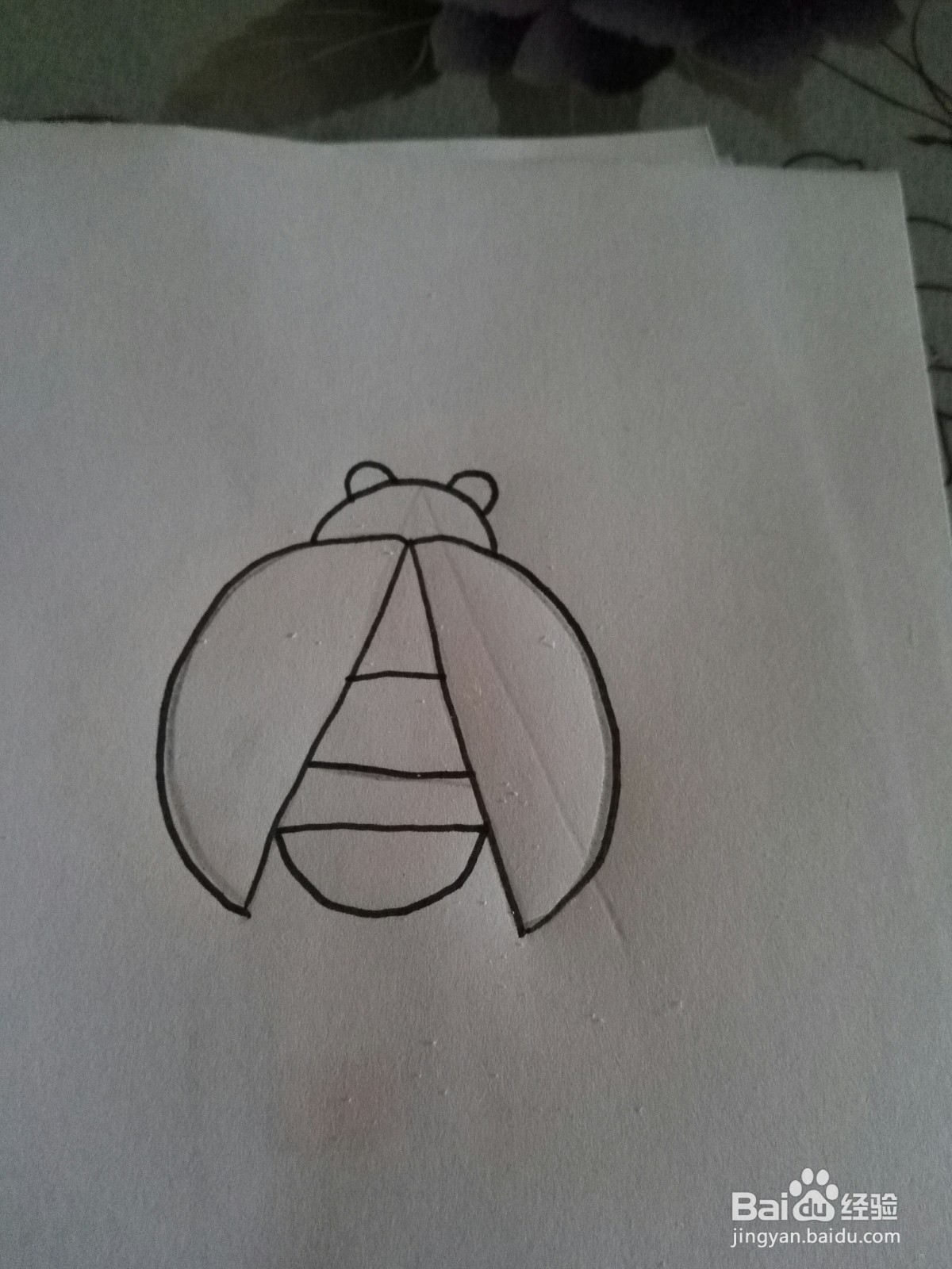 可爱的七星飘虫的简笔画法