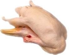 怎么炖淮山老鸭汤