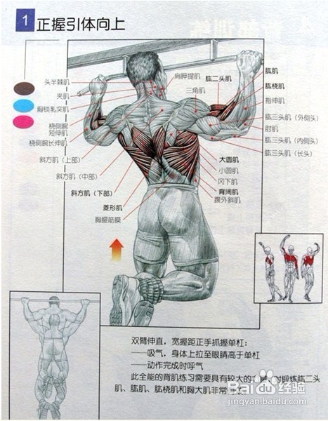 男士必须收藏:男士健身方案