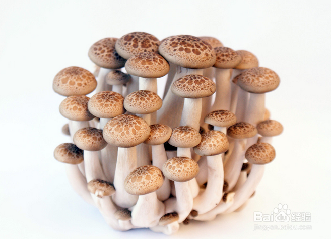 防感冒要补充的营养及要吃的好食物