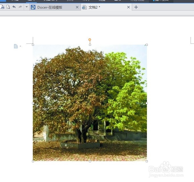 怎么让wps文档中的背景图片可以打印