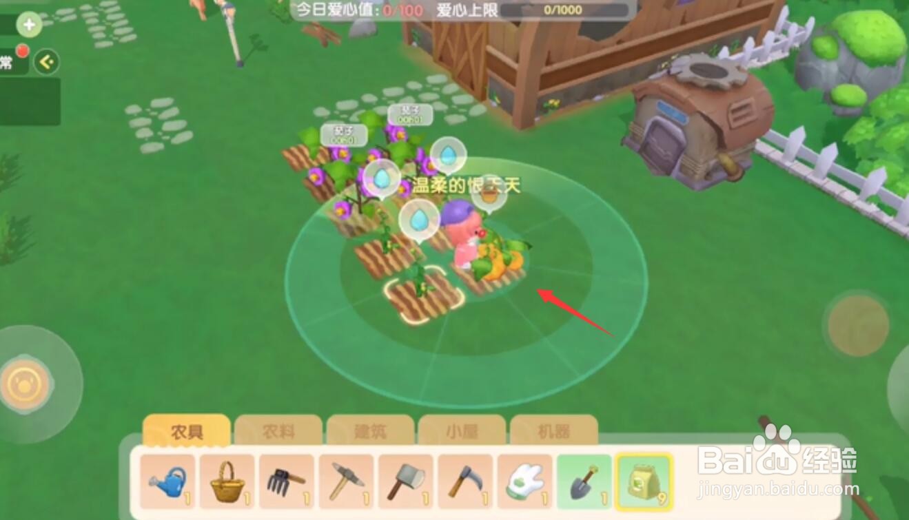 摩尔庄园如何种植南瓜