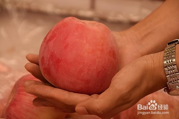 苹果什么时候吃最好？