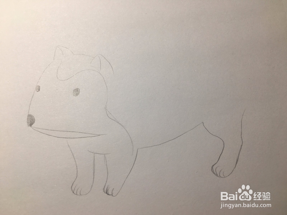 画一只小狗 狗仔简笔画 幼儿简笔画