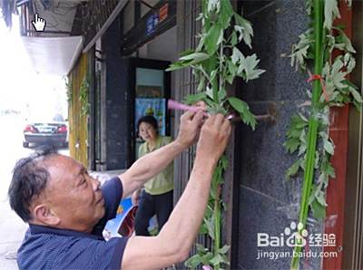 端午节门头上艾草怎么挂 百度经验
