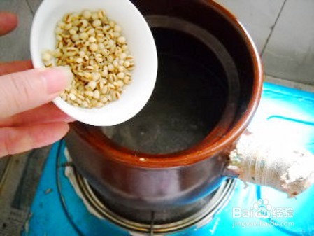 菊花薏米乳鸽汤