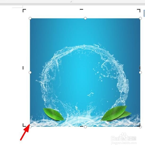 word如何裁剪图片？