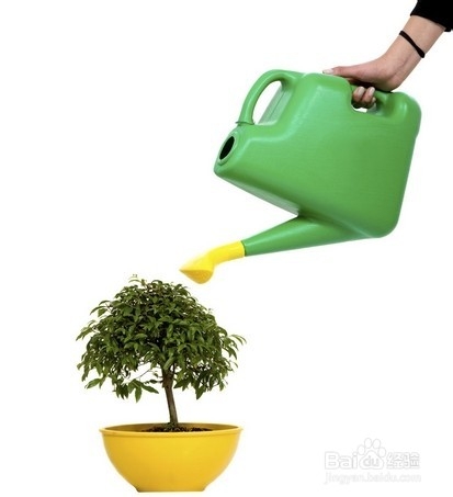 实用的生活小常识：[3]大蒜的好处