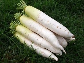 这些食物不能一起吃一(特别注意)