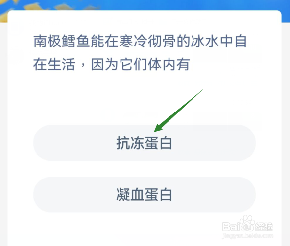 南极鳕鱼能在寒冷彻骨的冰水中自在生活因为它们