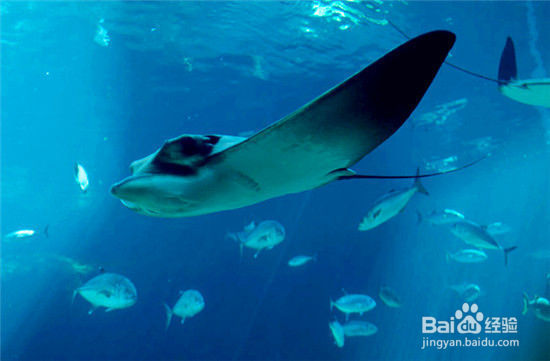 盘点世界十大最酷海底旅馆