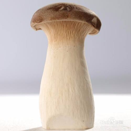 杏鲍菇长白色绒毛还可以吃吗?怎么处理?