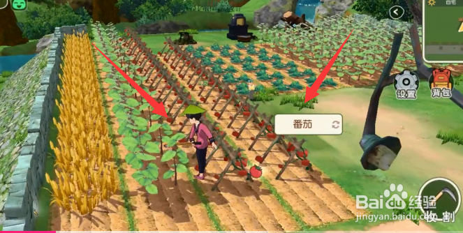 小森生活中如何收割番茄