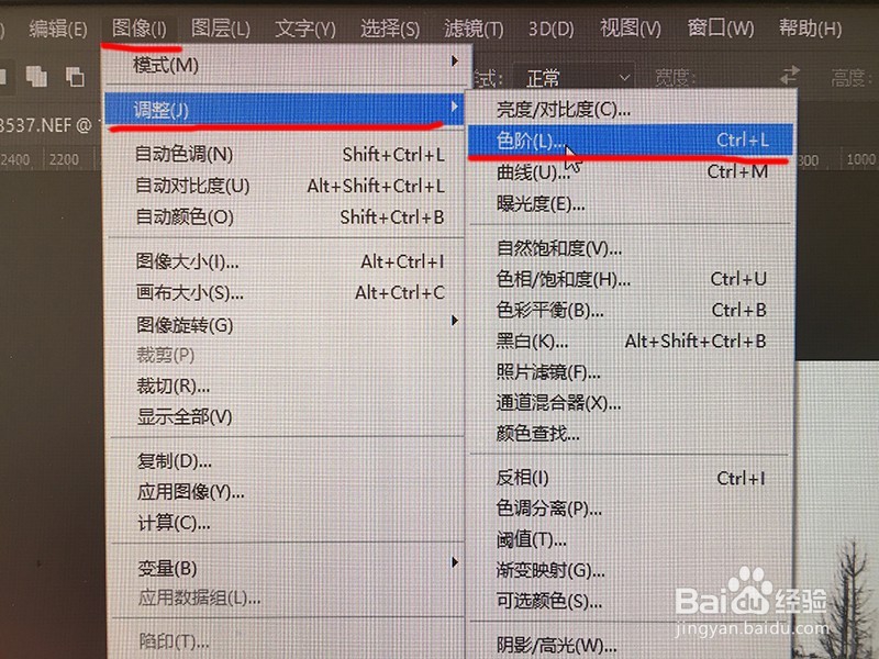 PHOTOSHOP把照片制作成水墨画效果