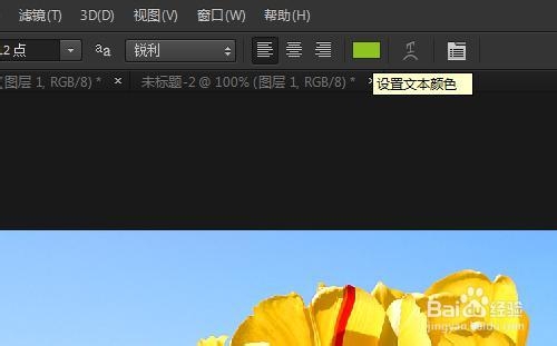 [PS初级零基础]如何用PHOTOSHOP给图片添加文字