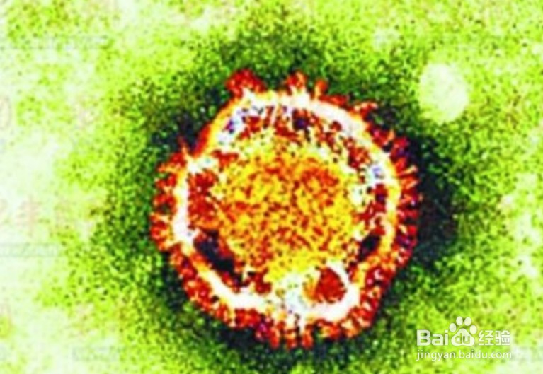 新冠肺炎的主要传播途径有哪些?如何预防?