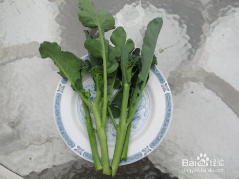 西兰苔的功效和作用