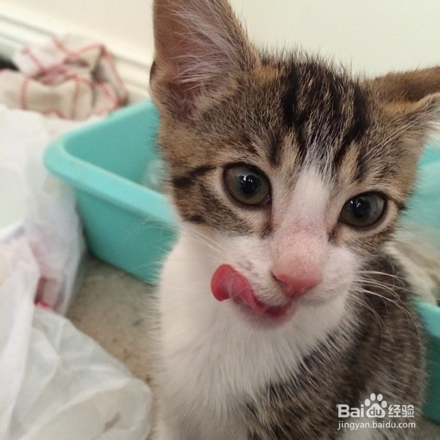 Show you how to Be Nice to a Girl