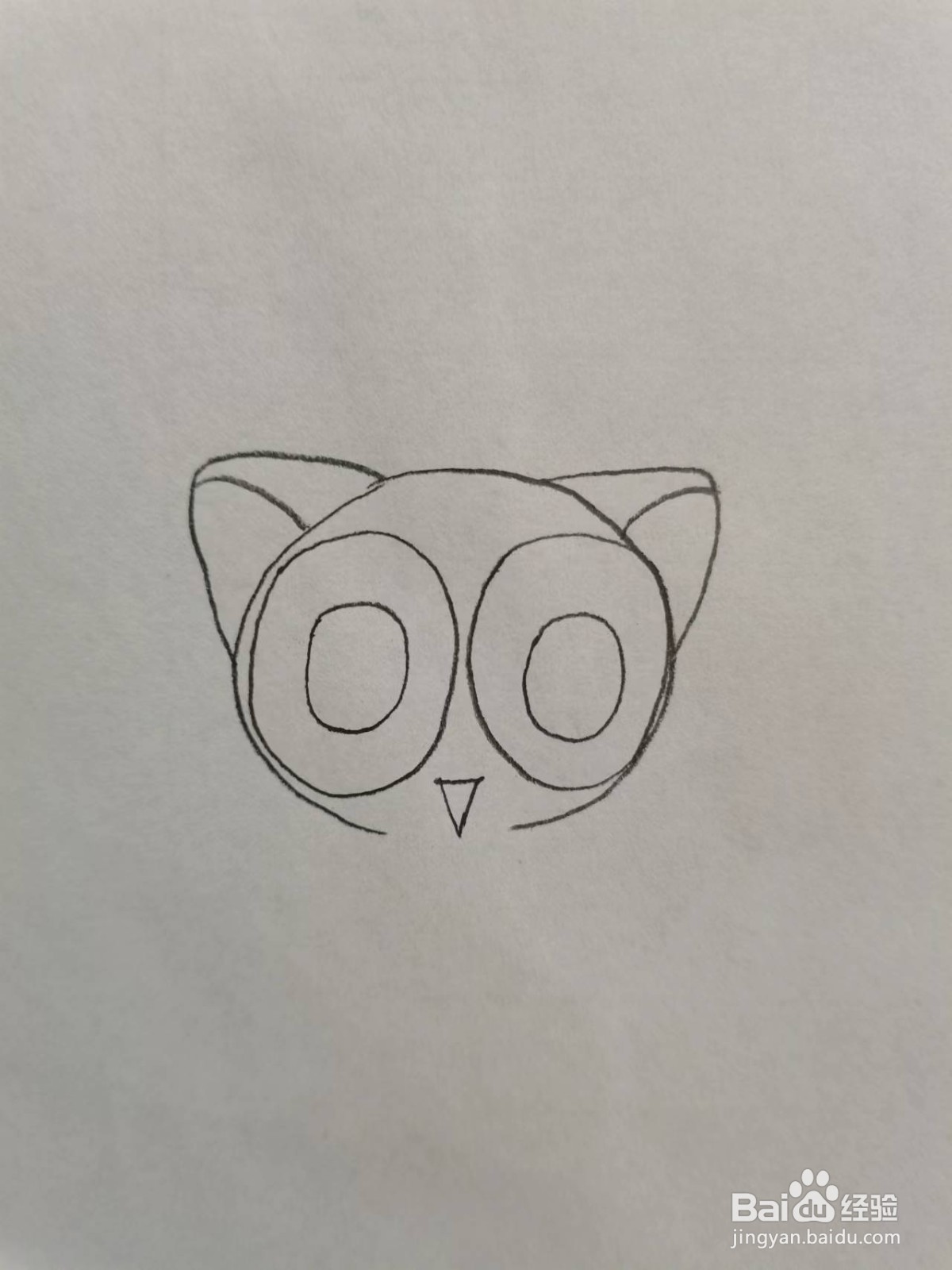 铅笔画大眼睛的猫咪