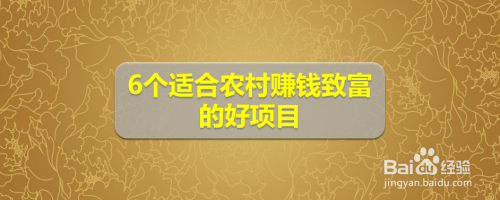 6个适合农村赚钱致富的好项目