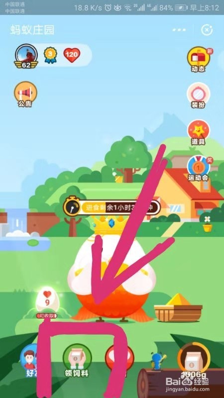 你知道什么时候可以领取全民保的养老金分红吗