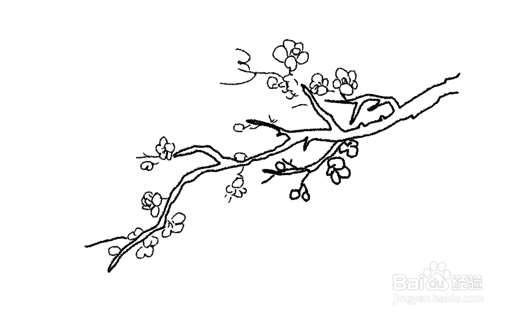 梅花树的简笔画 手绘图片
