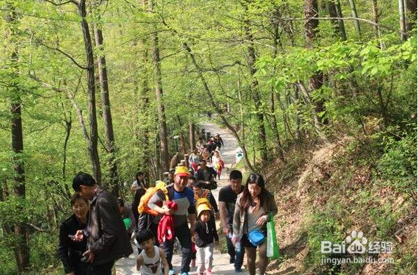 爬山的注意事项