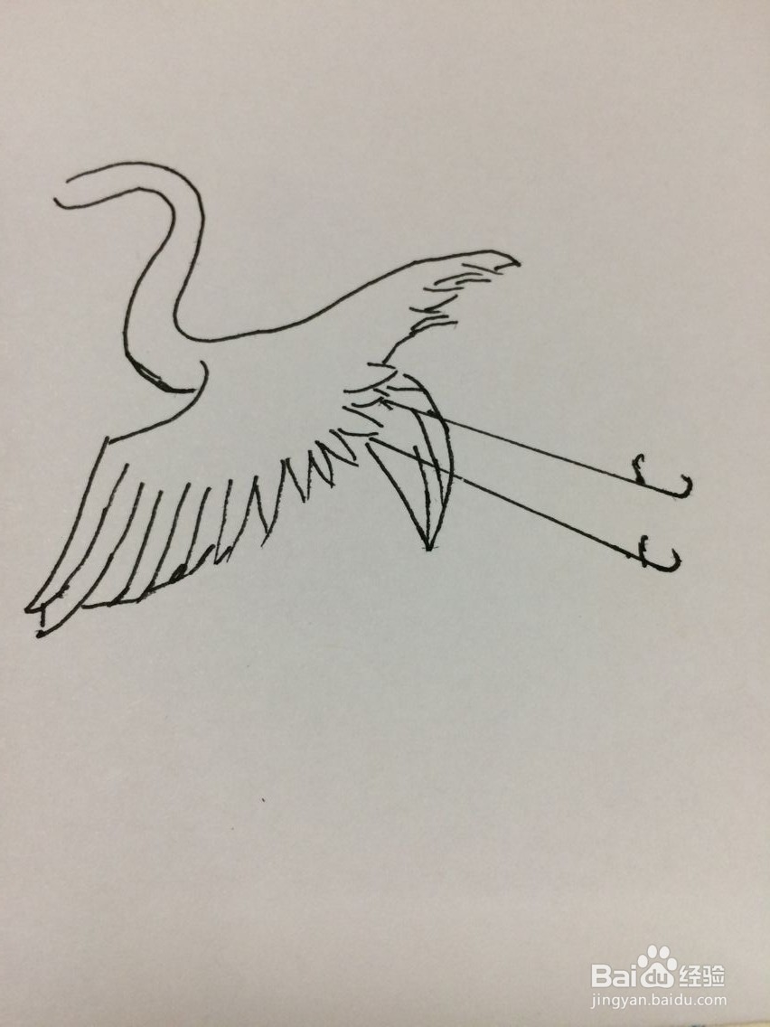 简笔画仙鹤的方法
