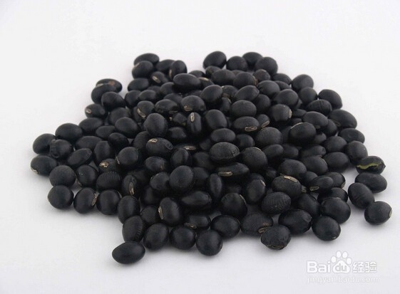 补肾吃哪些食物有效果