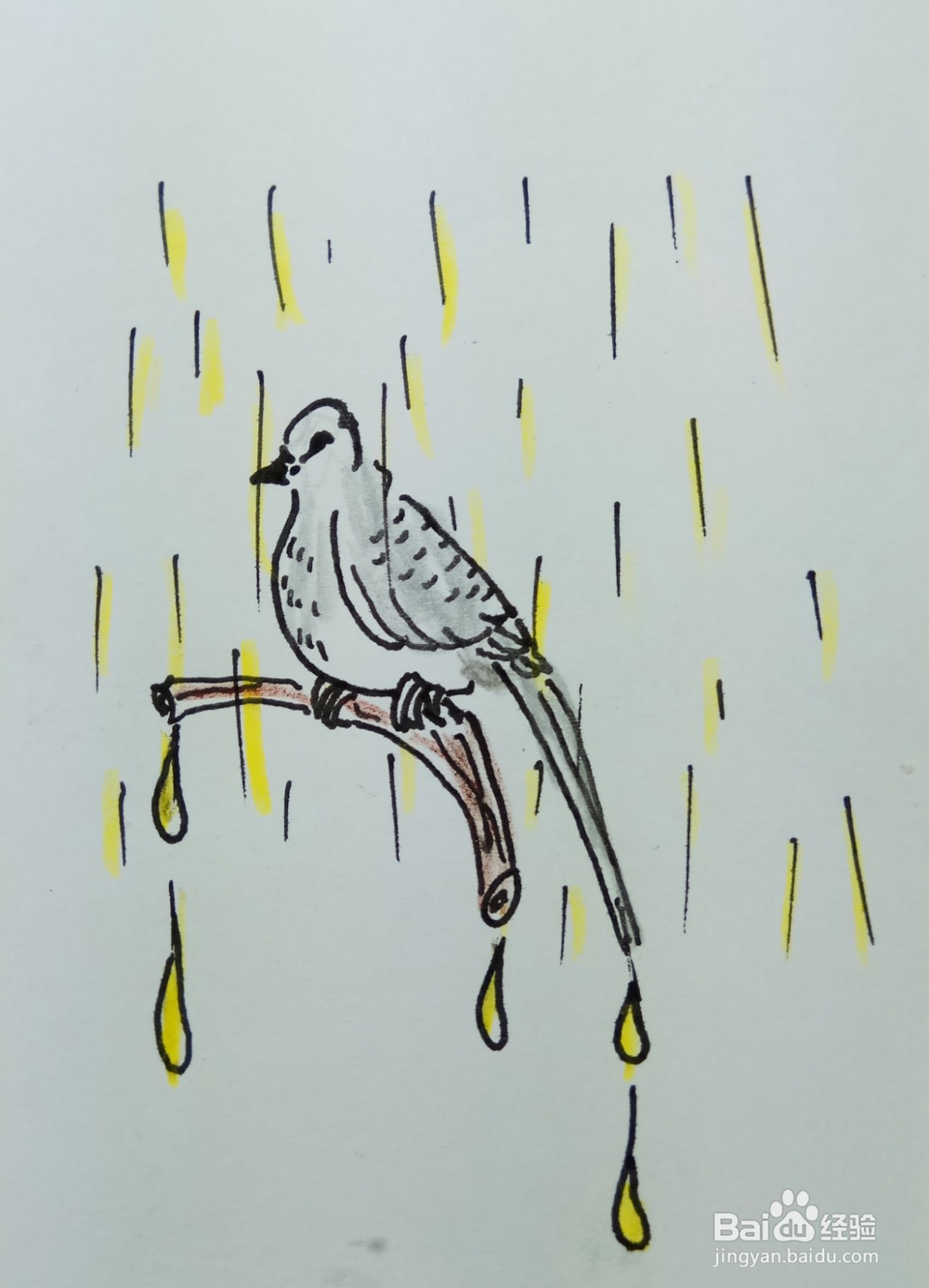 怎样画简笔画“风雨中的鸟儿”