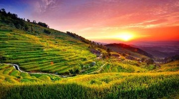 紫鹊界梯田旅游攻略