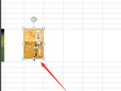 excel 插入图片的时候，如何让图片自动的根据插入的表格大小而自动改变大小填充表格。