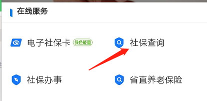 支付宝怎么查看社保缴费明细