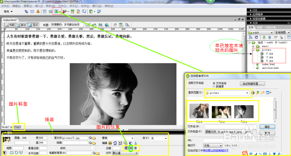网页设计之新手入门