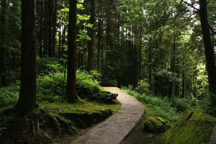 山和木组合寓意好的名字怎么写