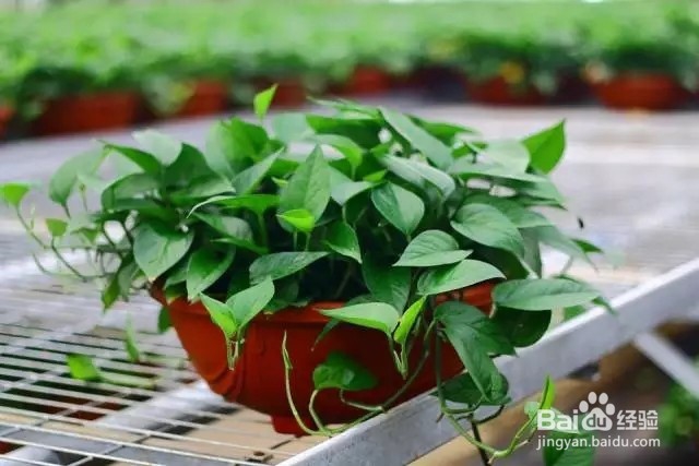 你知道这些生活小妙招吗?