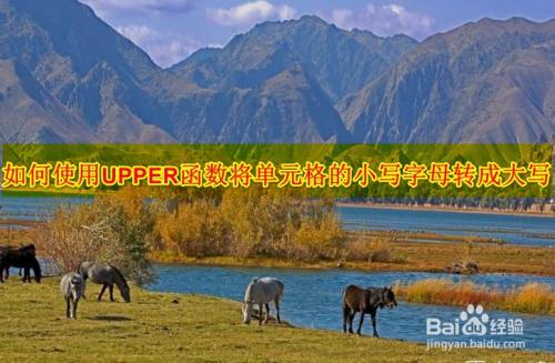 如何使用UPPER函数将单元格的小写字母转成大写