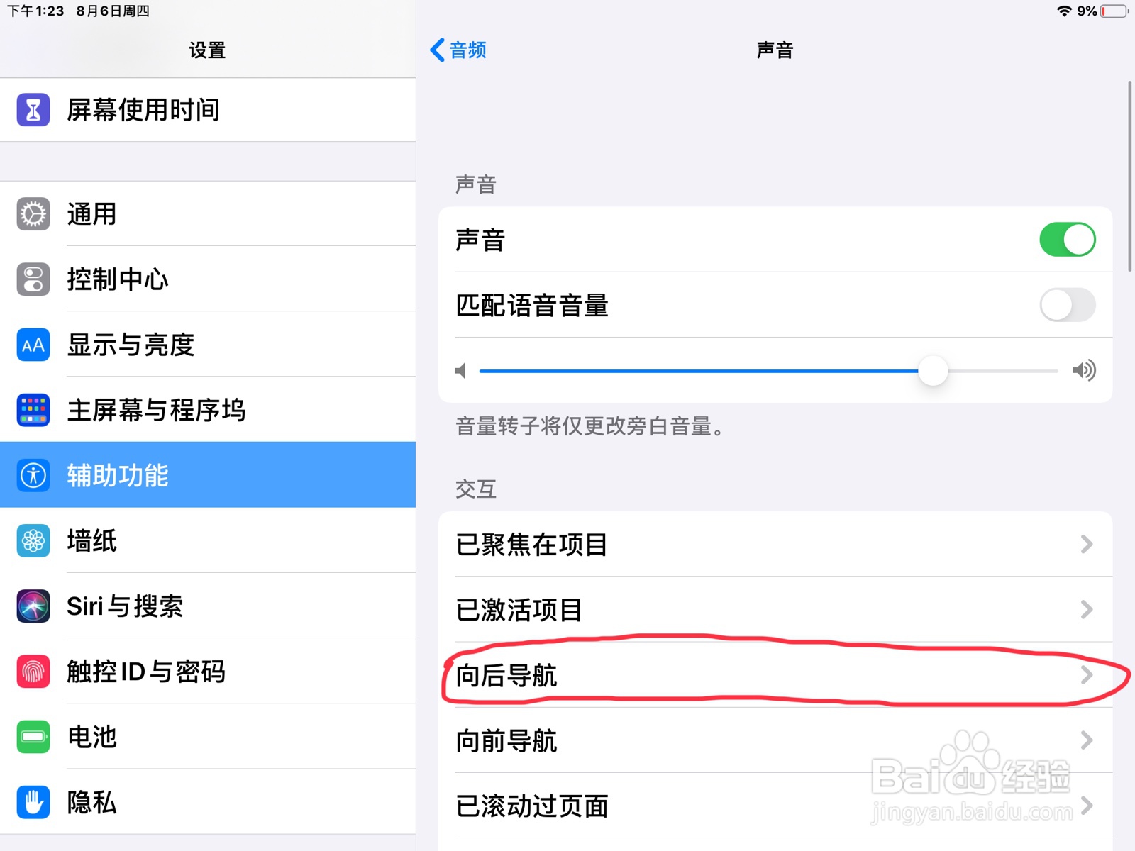 iPad怎么在旁白设置向后导航的预览