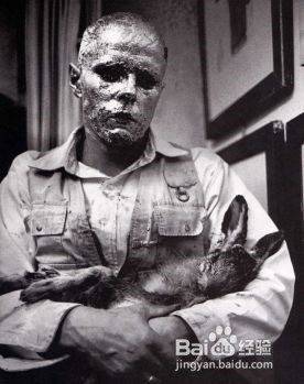 如何进行艺术鉴赏活动