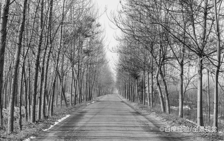 周口附近有什么好玩的地方一日游