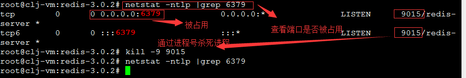 Ubuntu下如何安装与运行Redis