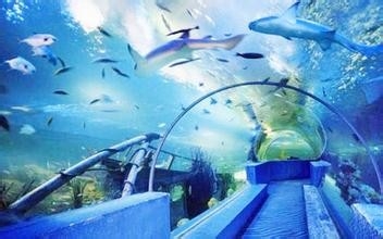 青岛旅游攻略