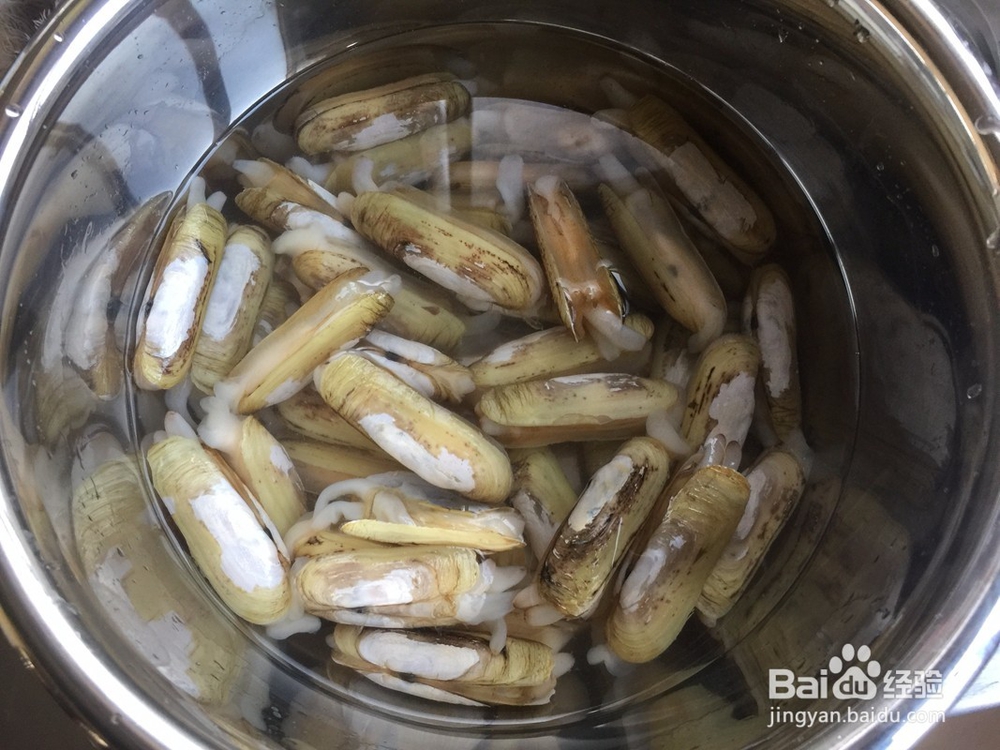 怎么做麻辣葱姜炒蛏子