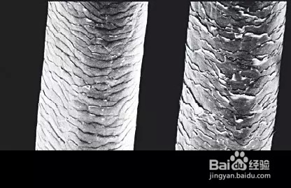 生活中如何正确的洗头